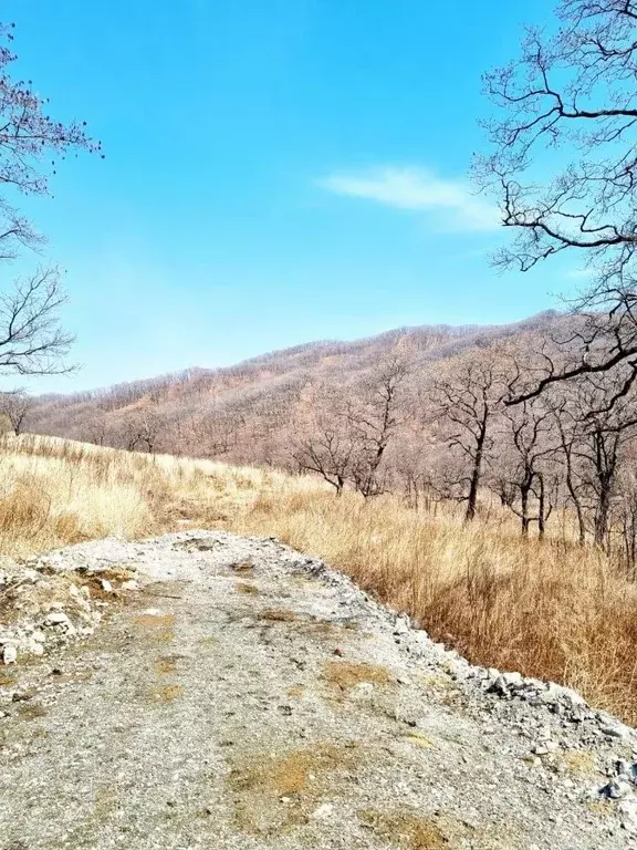 Участок в Приморский край, Находка пос. Врангель, ул. Лесная, 7 (18.53 ... - Фото 2