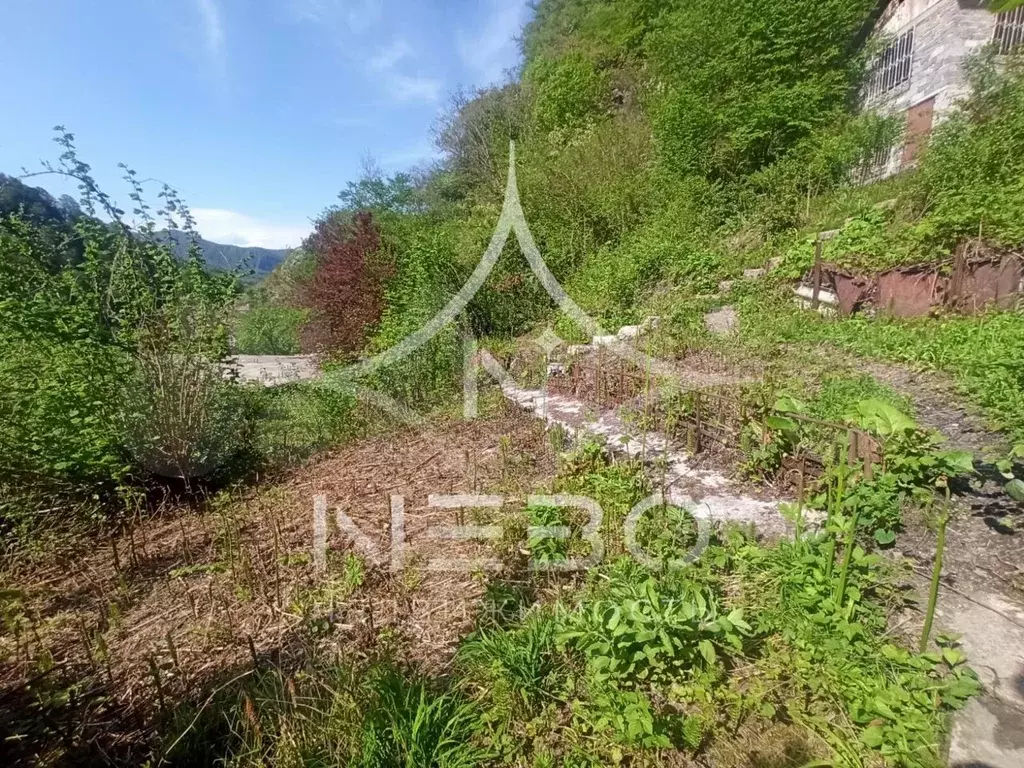 Купить Участок В Сочи Пластунка