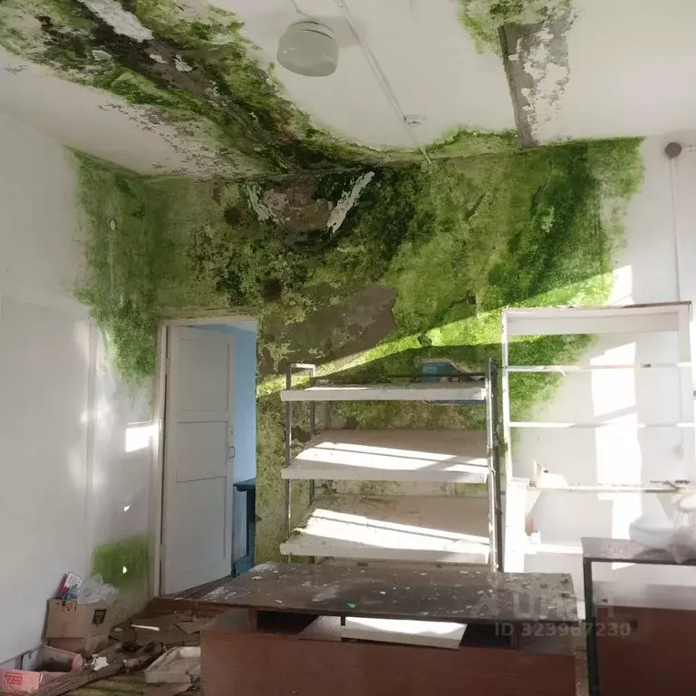 Помещение свободного назначения в Курганская область, Мишкинский ... - Фото 2