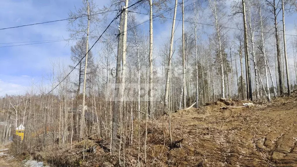 Участок в Иркутская область, Иркутский муниципальный округ, д. ... - Фото 1