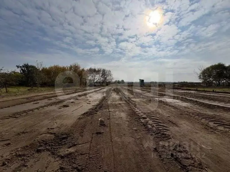 Участок в Воронежская область, Воронеж Боровое мкр, ул. 50-летия ВЛКСМ ... - Фото 1