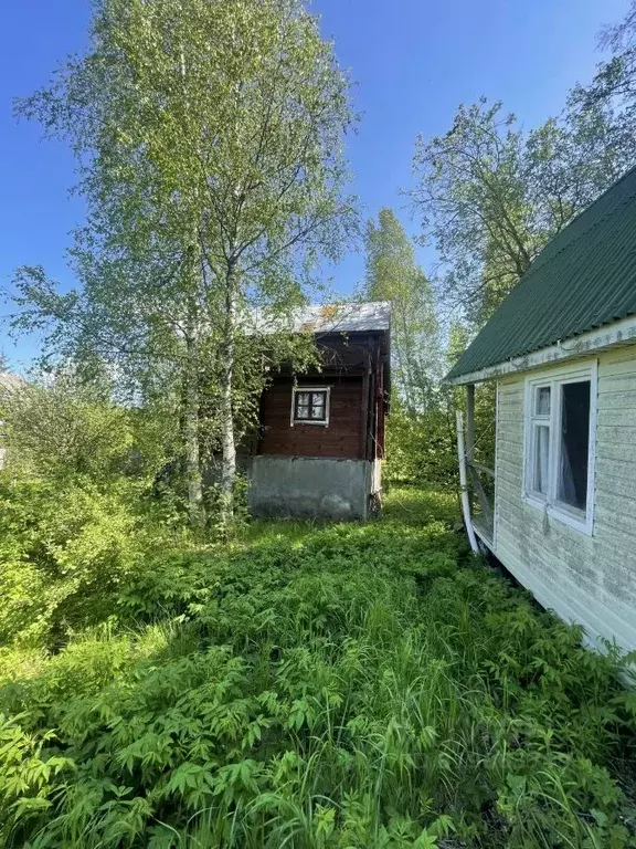Дом в Ленинградская область, Выборгский район, Первомайское с/пос, ... - Фото 1