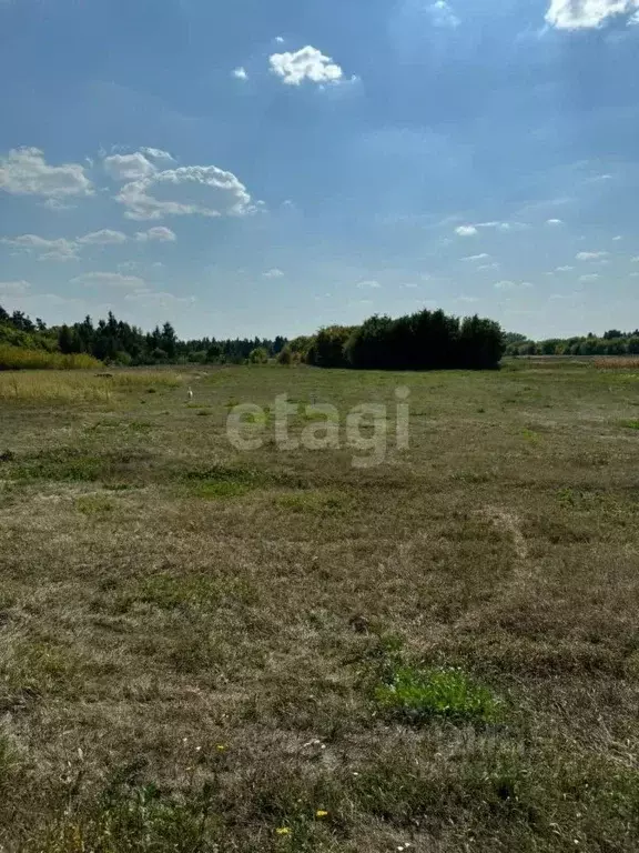 Участок в Белгородская область, Старооскольский городской округ, с. ... - Фото 0