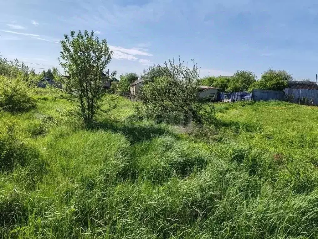 Участок в Мордовия, Саранск городской округ, д. Полянки ул. Титова ... - Фото 1