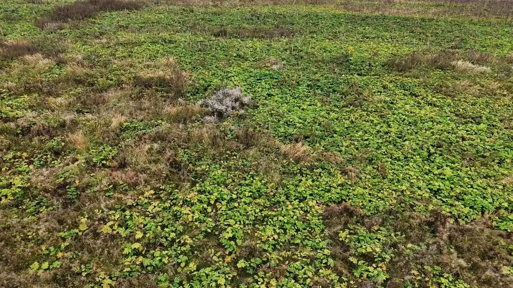 Участок в Московская область, Волоколамский муниципальный округ, д. ... - Фото 2
