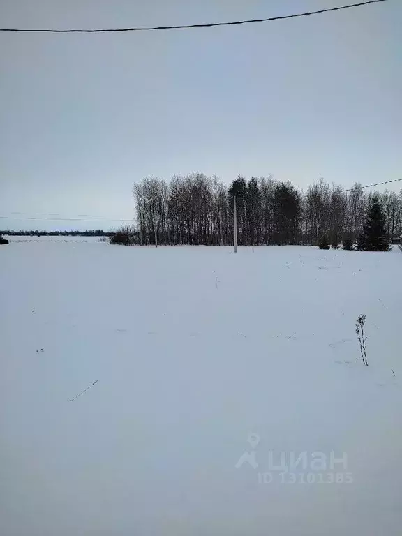 Участок в Новгородская область, Новгородский район, Борковское с/пос, ... - Фото 0