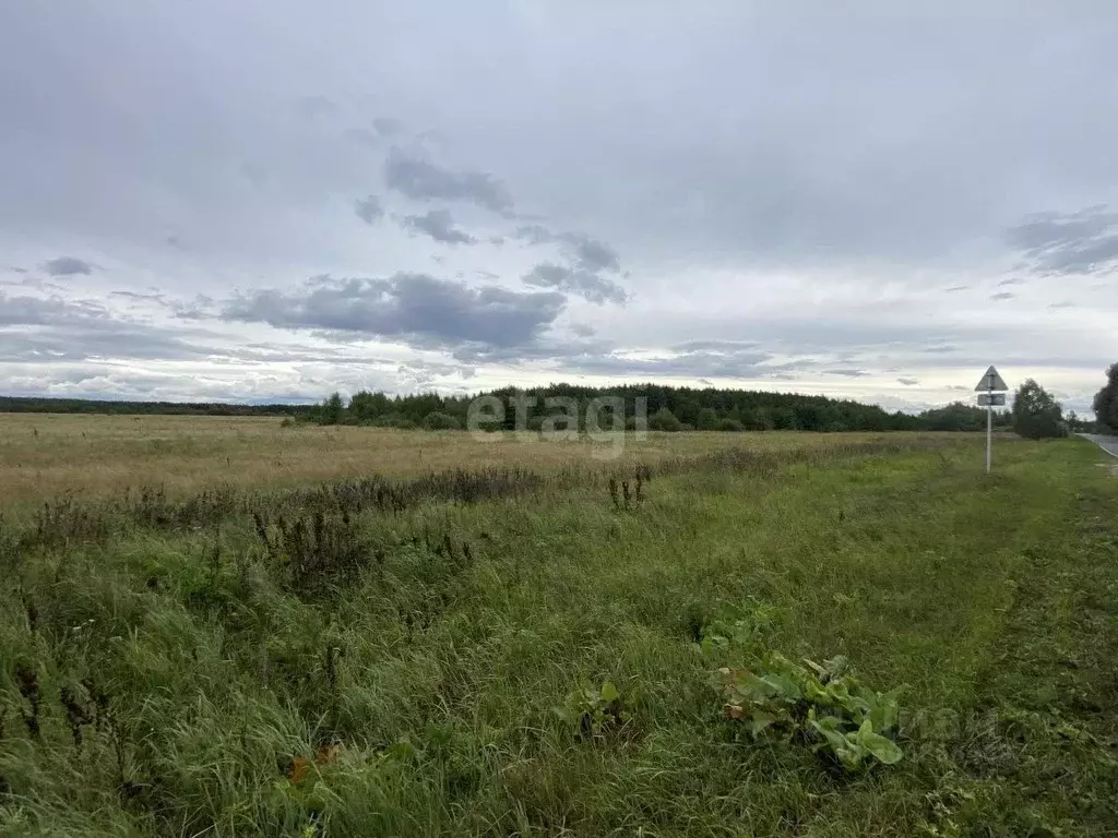 Участок в Владимирская область, Муром д. Макаровка, ул. Центральная ... - Фото 0