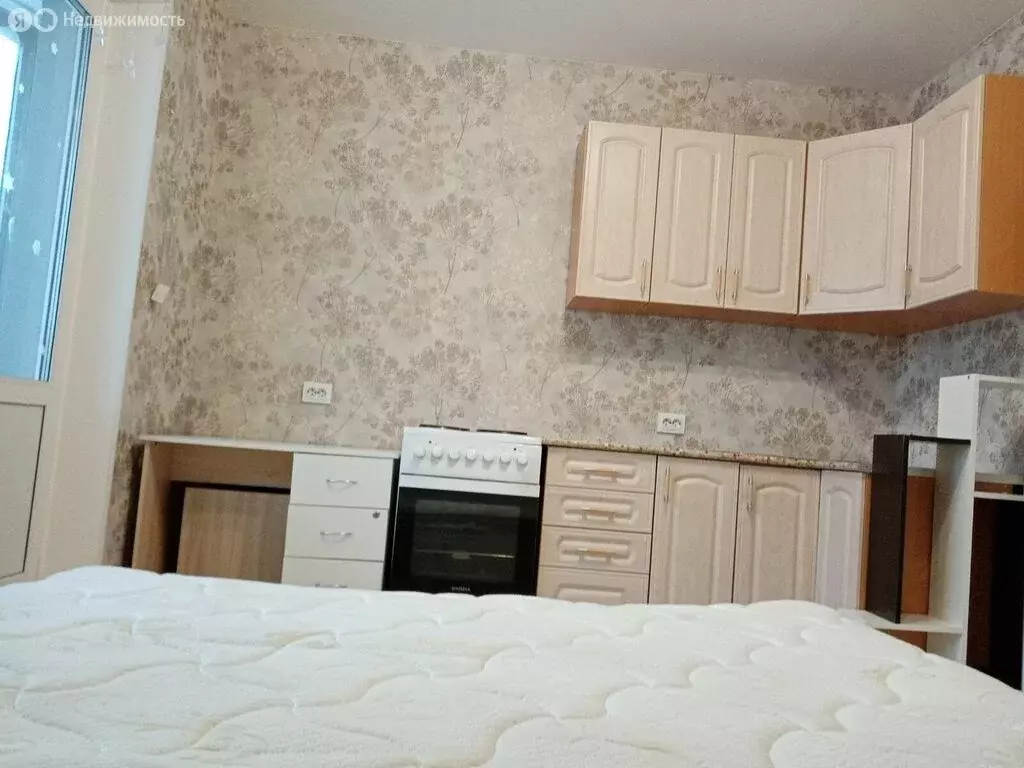 Квартира-студия: Мурино, Екатерининская улица, 3/4 (20.9 м) - Фото 1