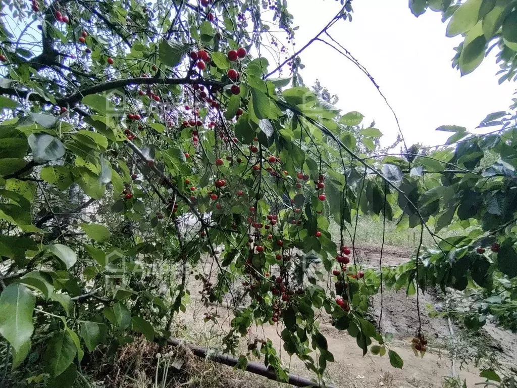 Дача 35 м на участке 8 сот. - Фото 0