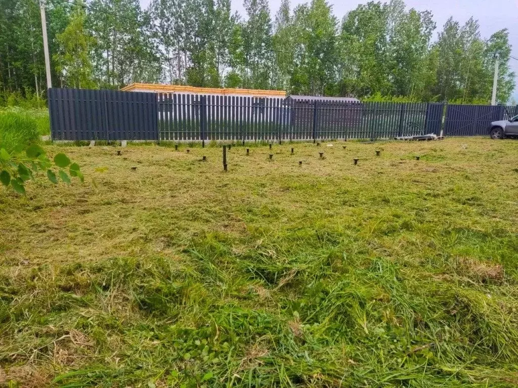 Участок в Ленинградская область, Всеволожский район, Рахьинское ... - Фото 2