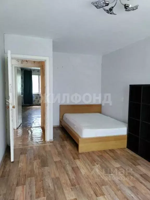 2-к кв. Новосибирская область, Новосибирск Академгородок мкр, ул. ... - Фото 0