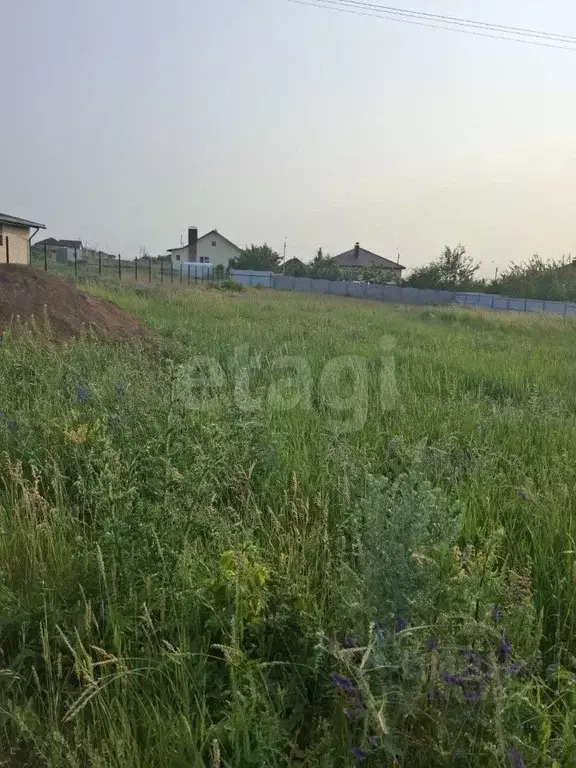 Участок в Белгородская область, Белгородский район, Разумное рп ул. ... - Фото 1