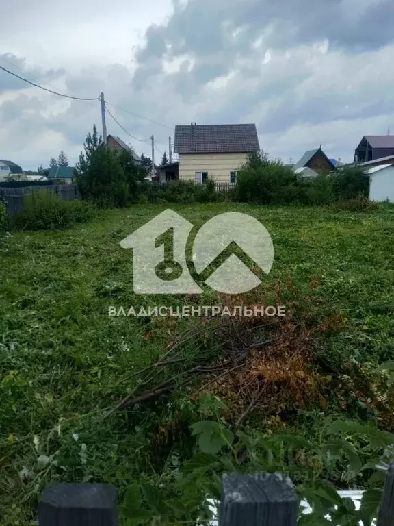 Участок в Новосибирская область, Новосибирск Солнышко садовое ... - Фото 1