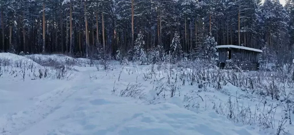 Участок в Свердловская область, Горноуральский муниципальный округ, ... - Фото 1
