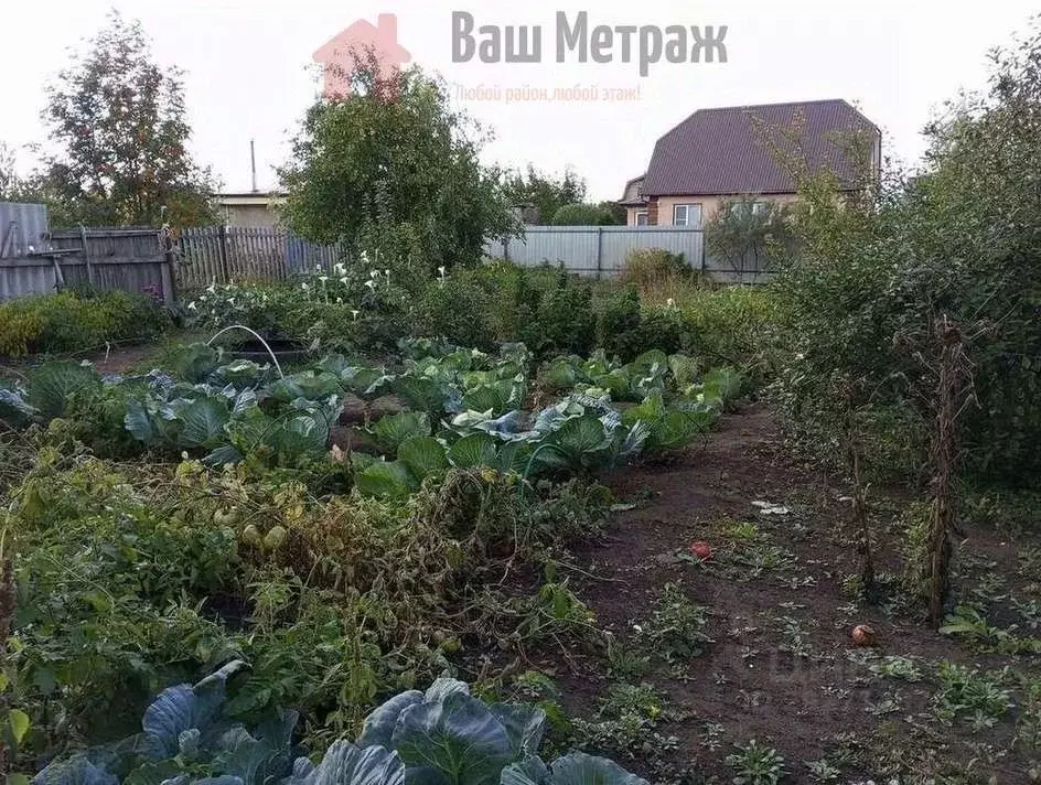Дом в Оренбургская область, Бузулук Дружба СНТ,  (25 м) - Фото 0
