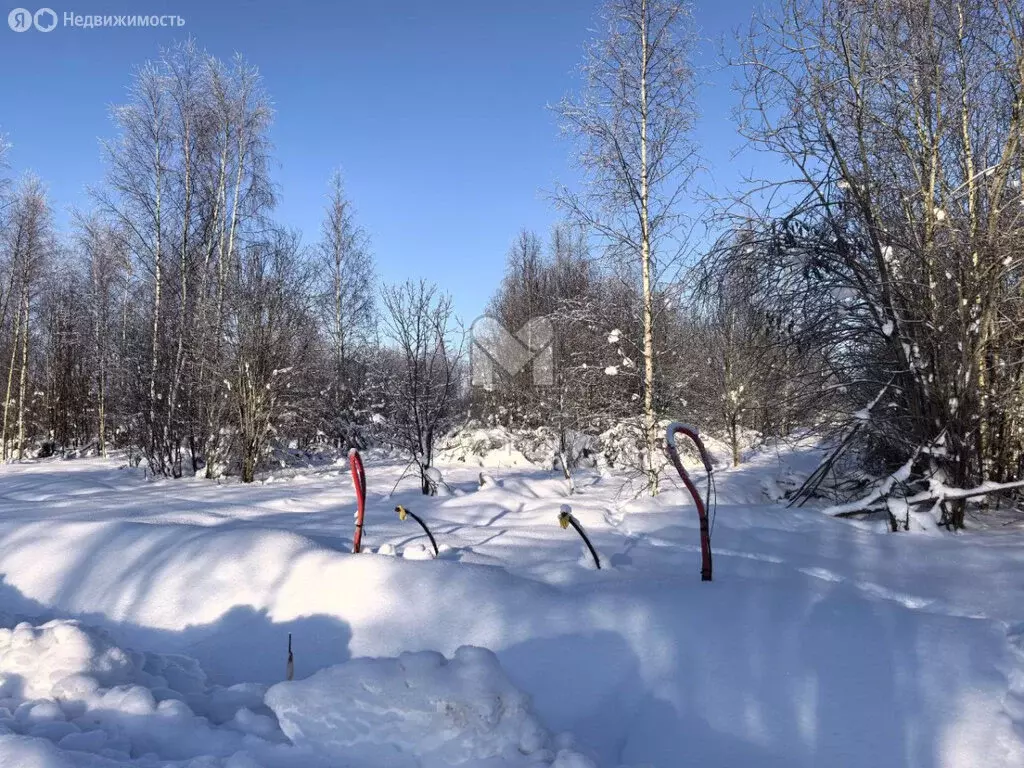 Участок в Мшинское сельское поселение, садоводческий массив Мшинская ... - Фото 2