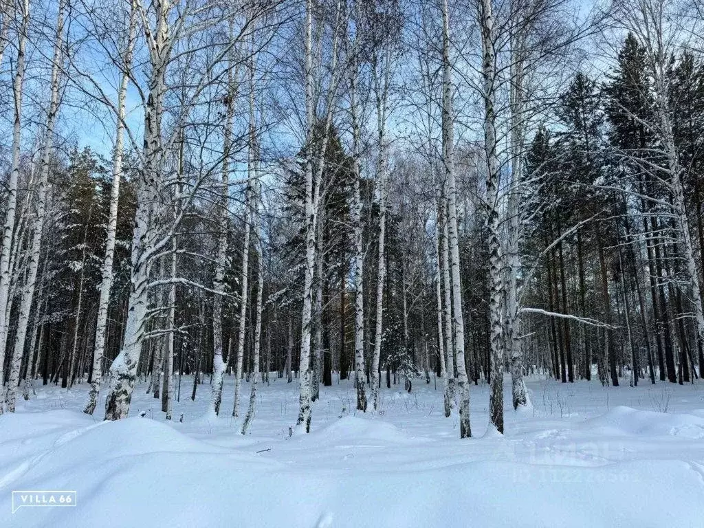 Участок в Свердловская область, Сысертский городской округ, пос. ... - Фото 0