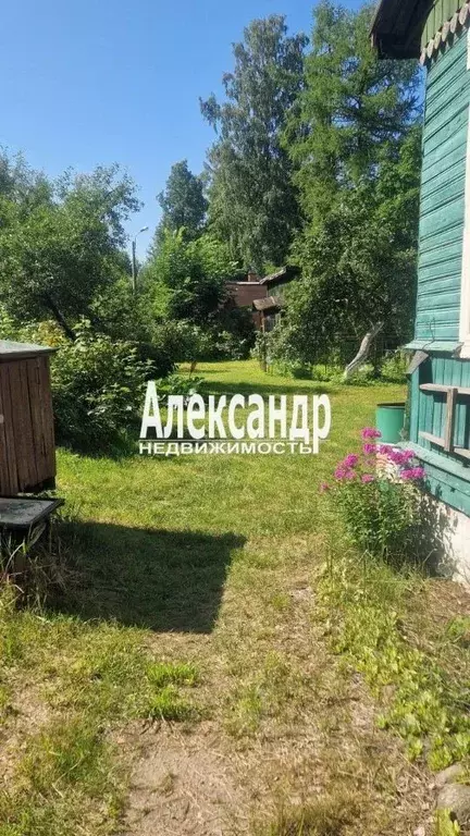 Участок в Санкт-Петербург Ольгино тер., ул. Садовая, 2 (13.51 сот.) - Фото 2