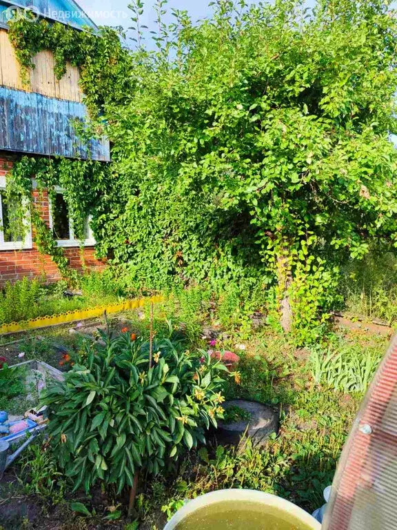 Дом в Тюменская область, Ялуторовский муниципальный округ, село ... - Фото 2