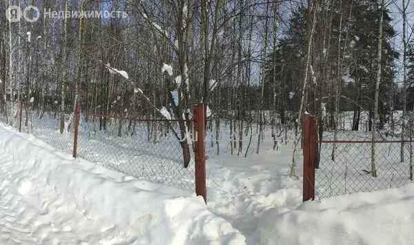 Участок в Одинцовский городской округ, деревня Новошихово (7.6 м) - Фото 2