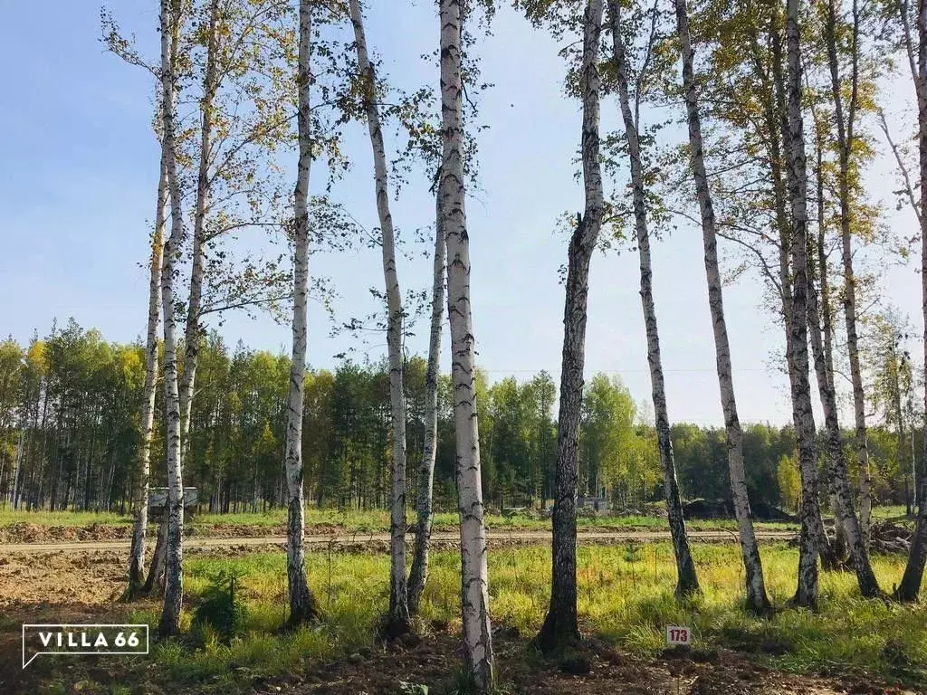 Участок в Свердловская область, Сысертский муниципальный округ, ... - Фото 0