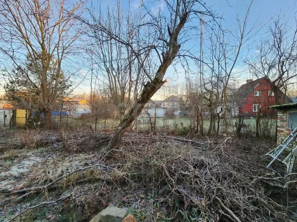 Участок в Калининградская область, Калининград Мечта СНТ, пер. ... - Фото 2