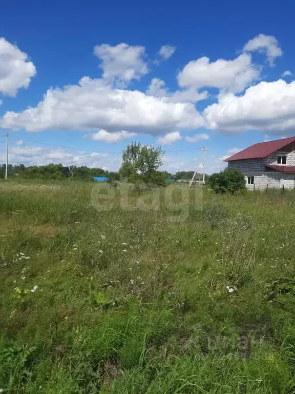 Участок в Алтайский край, Смоленский район, Верх-Обский сельсовет, с. ... - Фото 1