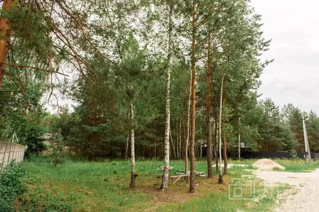 Участок в Рязанская область, Спасский район, Панинское с/пос, Искра ... - Фото 0