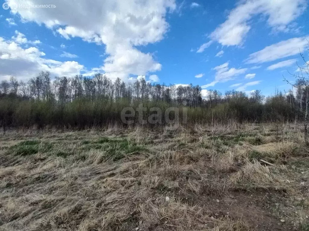 Участок в село Абатское, Солнечная улица (10 м) - Фото 2