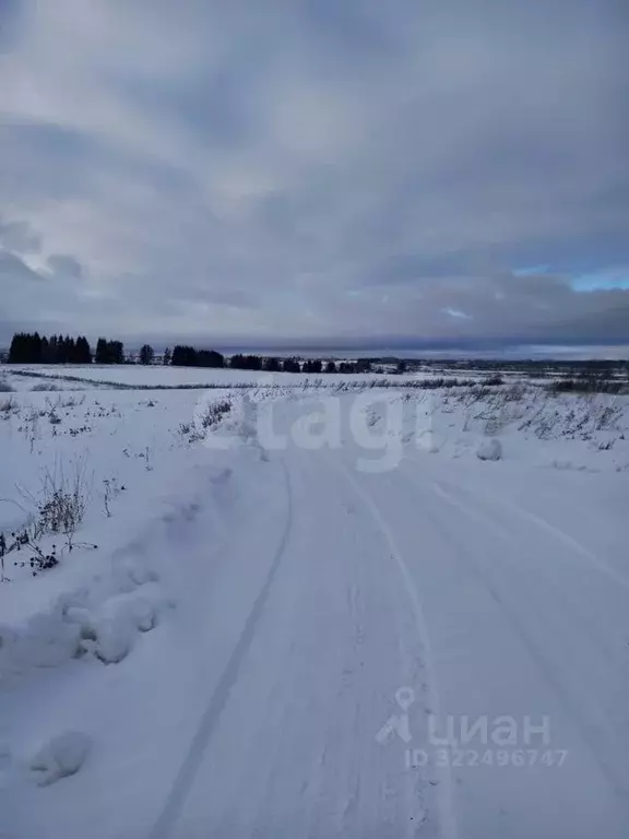 Участок в Вологодская область, д. Морино, д. Настасьино  (10.0 сот.) - Фото 1
