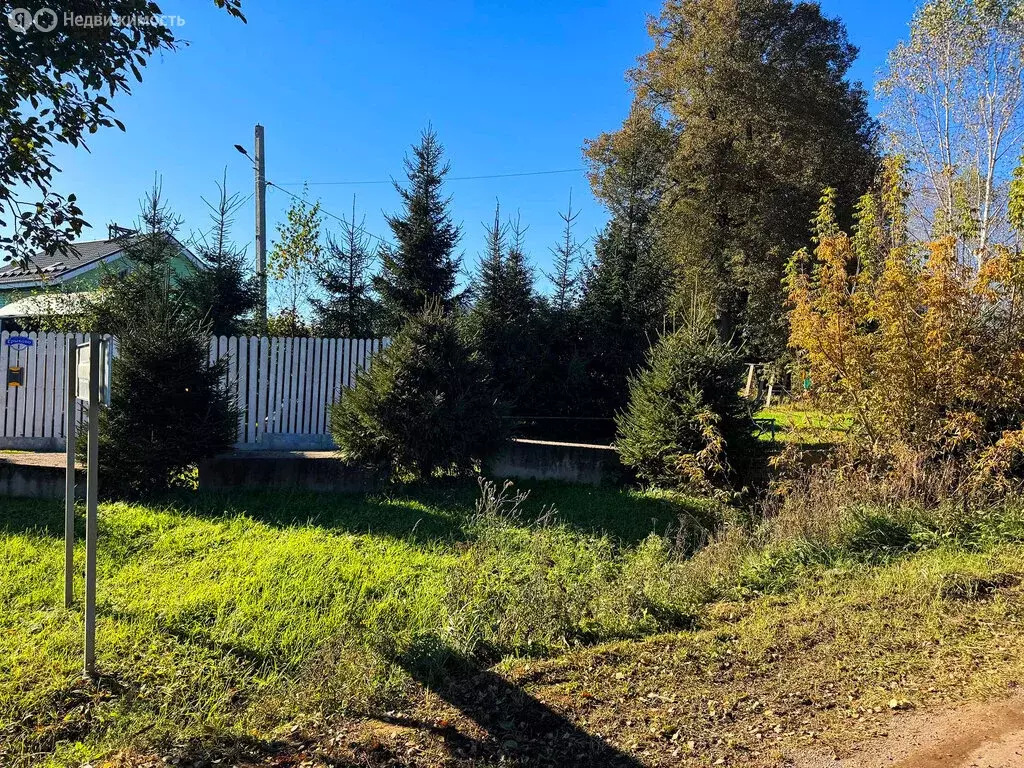 Участок в Московская область, Дмитровский муниципальный округ, КП ... - Фото 2