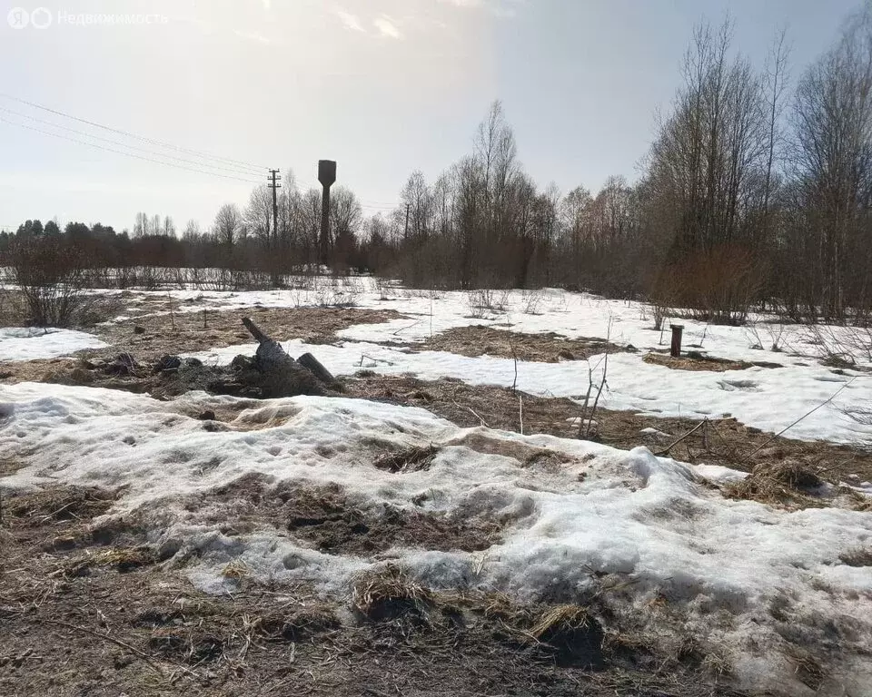 Участок в Валдайский район, Яжелбицкое сельское поселение, деревня ... - Фото 1