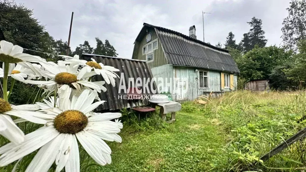 дом в ленинградская область, приозерский район, пос. сосново ул. . - Фото 0