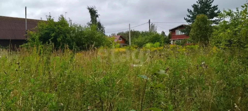 Участок в Ленинградская область, Тосненский район, Красноборское ... - Фото 1