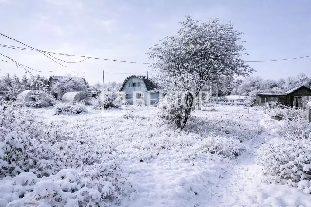 Дом в Костромская область, Кострома Мир садоводческое товарищество, 18 ... - Фото 2