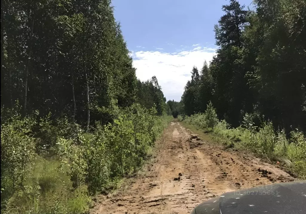 Участок в Ленинградская область, Кировский район, Мгинское городское ... - Фото 1