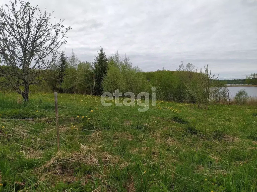 Участок в Вологодская область, Кирилловский муниципальный округ, д. ... - Фото 1
