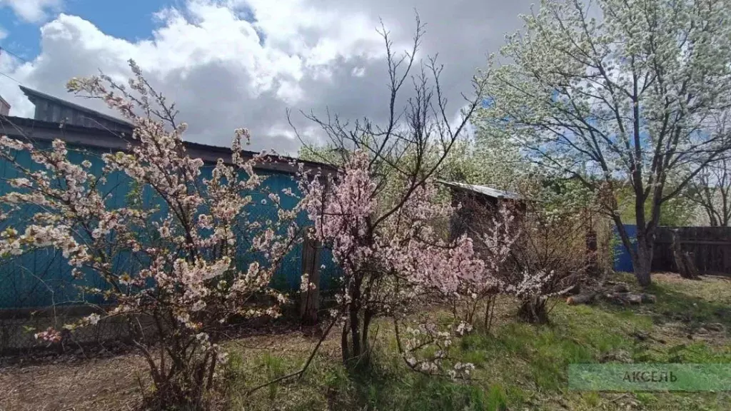 Коттедж в Амурская область, Благовещенский район, с. Чигири ул. ... - Фото 0