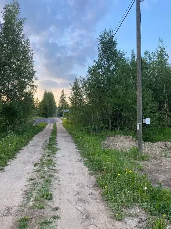 Участок в Ленинградская область, Тосненское городское поселение, д. ... - Фото 2