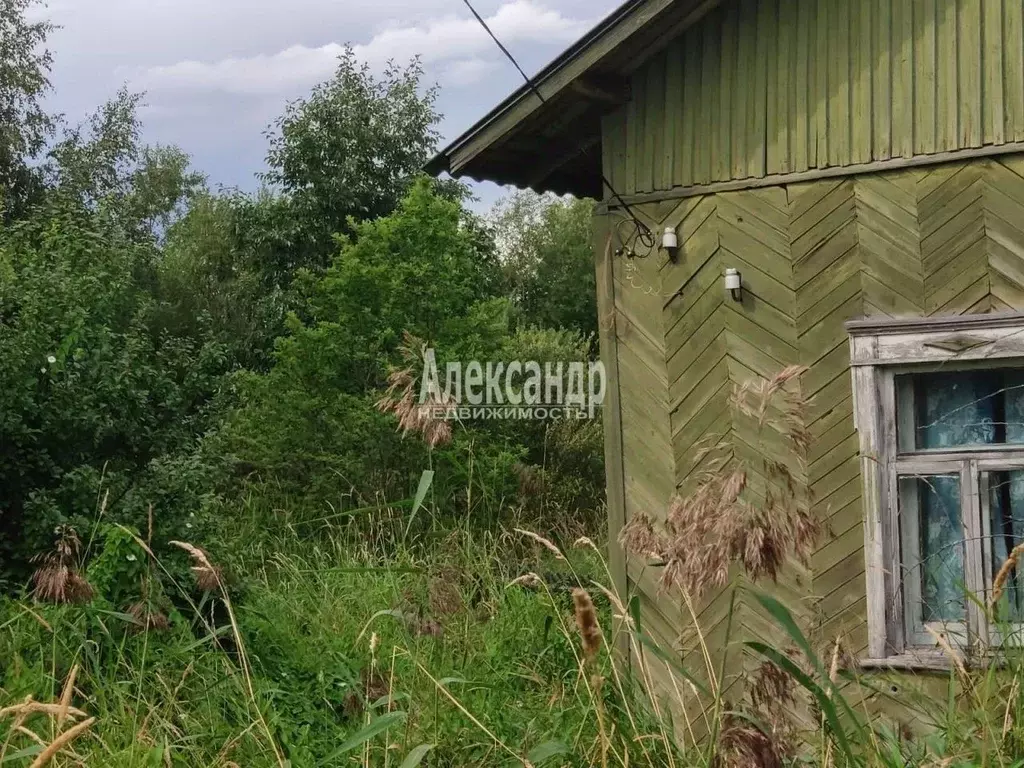 Участок в Ленинградская область, Приозерский район, Плодовское с/пос, ... - Фото 1