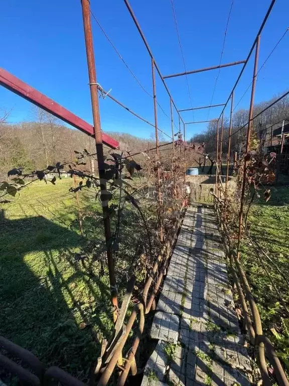 Участок в Краснодарский край, Геленджик городской округ, с. Пшада  ... - Фото 1