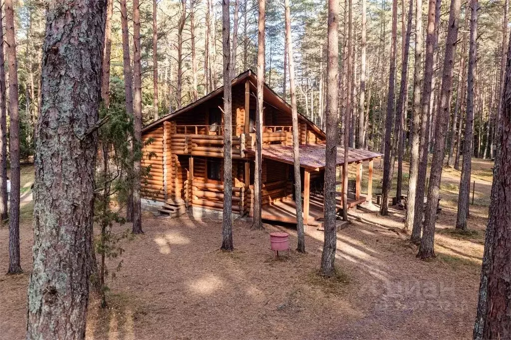 Дом в Псковская область, Гдов  (56 м) - Фото 1