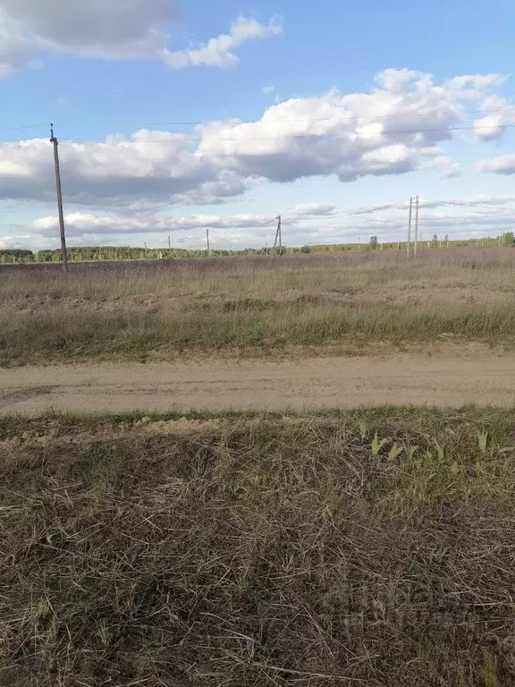 Участок в Рязанская область, Рязанский район, Дубровическое с/пос, с. ... - Фото 1