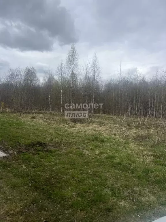 Участок в Смоленская область, Смоленский муниципальный округ, д. ... - Фото 2