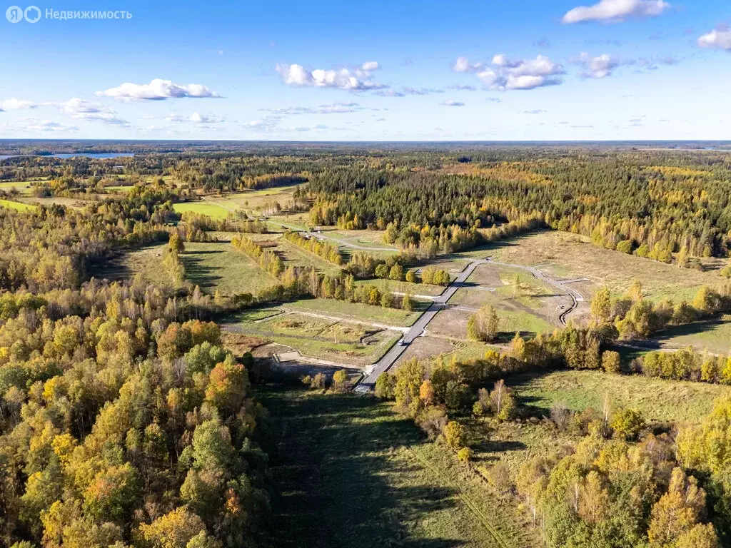 Участок в Ромашкинское сельское поселение (6 м) - Фото 1