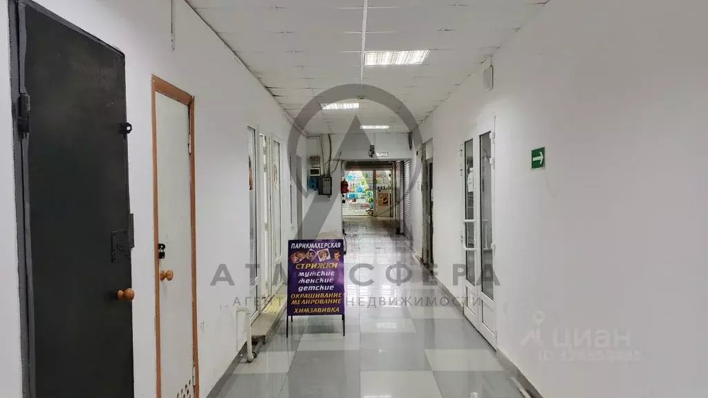 Торговая площадь в Краснодарский край, Апшеронск ул. Ворошилова (2425 ... - Фото 1