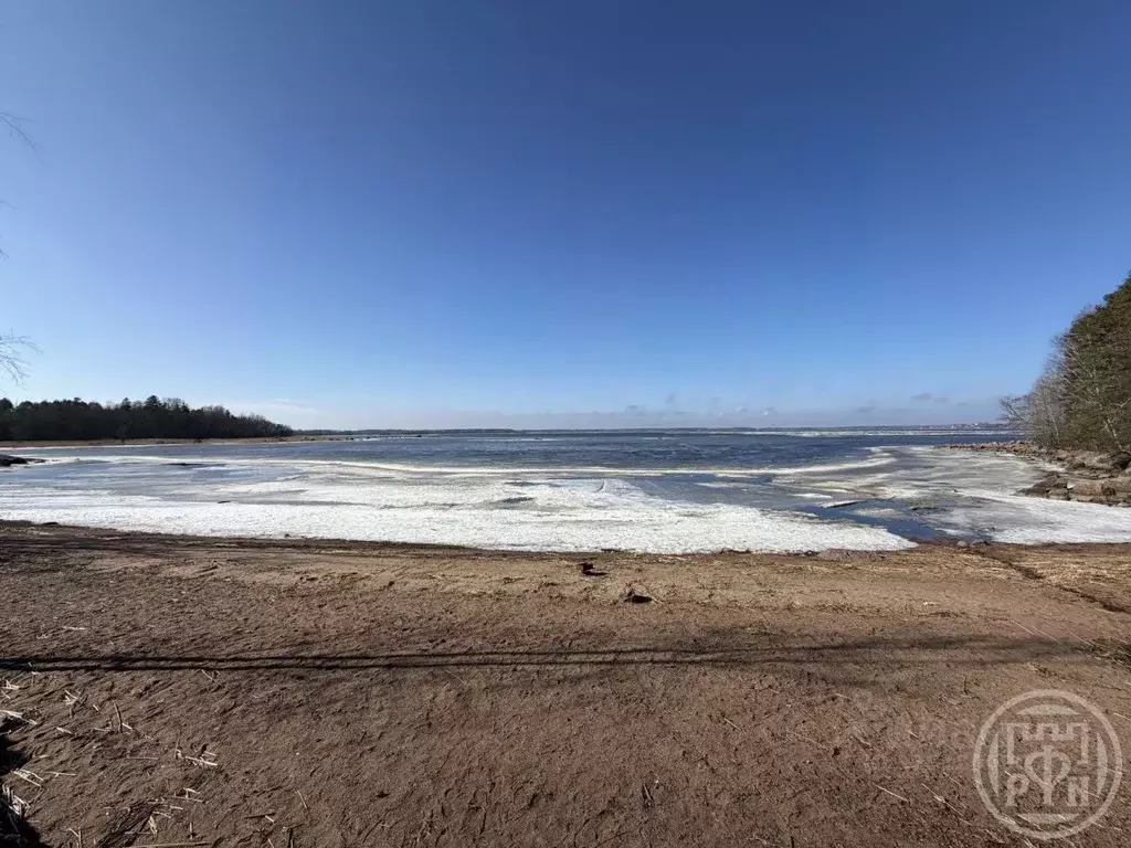 Участок в Ленинградская область, Выборг Юг СНТ, ул. Пляжная (12.0 ... - Фото 1