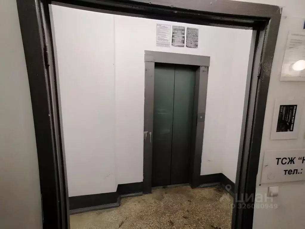 2-к кв. Волгоградская область, Волгоград Ополченская ул., 44а (53.0 м) - Фото 2