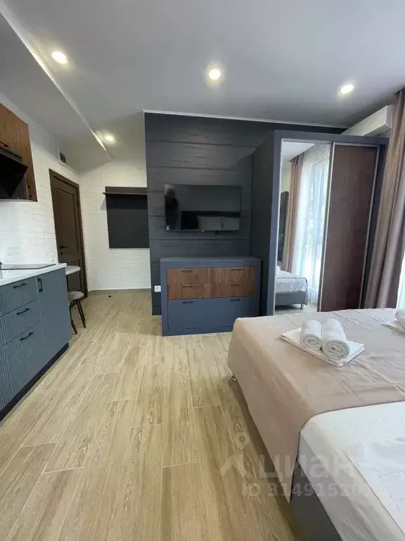 Студия Краснодарский край, Сочи Адлер жилрайон, ул. Бестужева, 18 ... - Фото 1