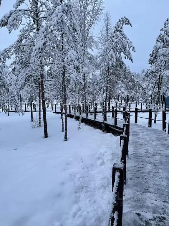 Дом в Ленинградская область, Всеволожское городское поселение, ... - Фото 1